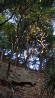 DSC00312.JPG